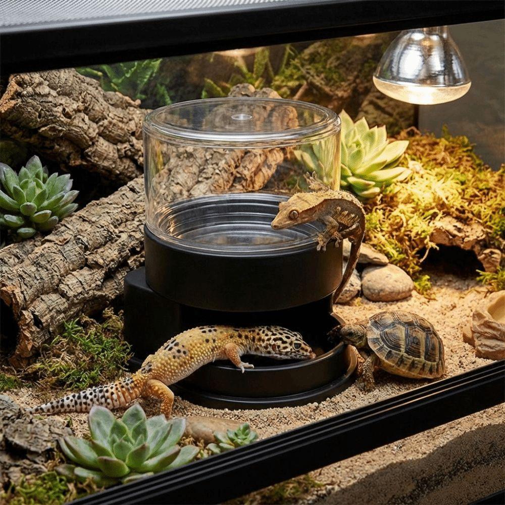 Detachable Reptiles Water Feeder Plastic Turtle Water Bowl Reptile Water Dispenser Tank Landscape