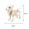 Halloween Dog Skeleton Props Simulated Animal Models Skeleton Frog Crow Skeleton Indoor Outdoor Garden Halloween Figurine