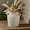 Vintage Ceramic Double Ear Storage Jar Multi Functional Storage Container Decorative Vases Kitchen Dining Room Container