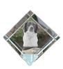 French Spaniel, French Setter, Canadian Setter – Crystal Cube with a Photo, Photo of a Horse In Crystal |
