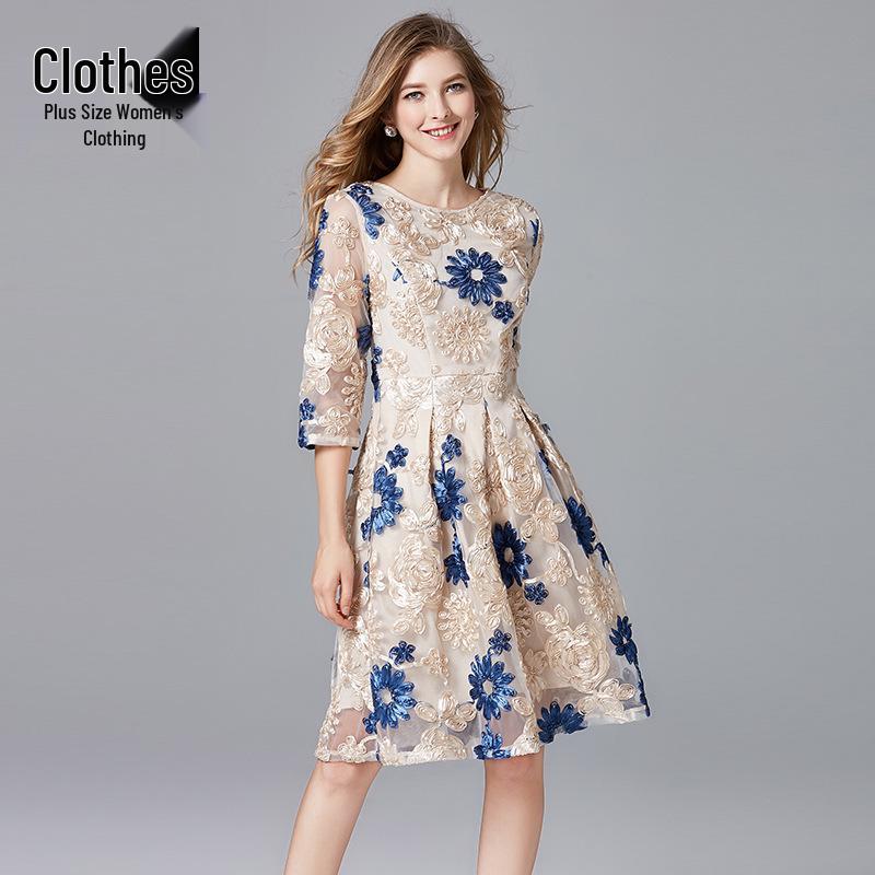 

Plus Size A-line Lace Dress - Casual & Versatile for Spring/Autumn 3XL