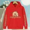Children's autumn and winter fun capybara hoodie, Christmas for boys and girls, casual wear, girls' clothing, gift.