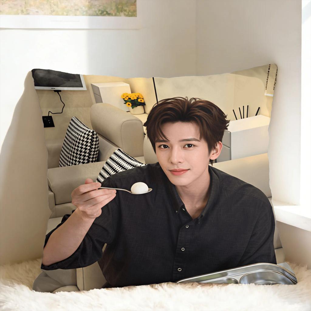 Wang Anyu Actor Pillow Case Graphic Pillow Cover Funny Pillowcases For Sofa Home Decor