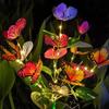 1Pcs Solar-Powered Butterfly Ground Light Color/Warm Light Outdoor Garden Patio Lawn Walkway Decorative Lighting