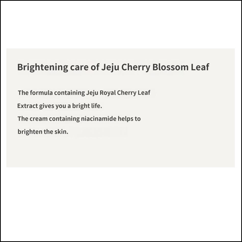 Innisfree Kirschblüten-Glow Ton-Up Creme 50ml Aufhellende Feuchtigkeitspflege für einen strahlenden Hautton