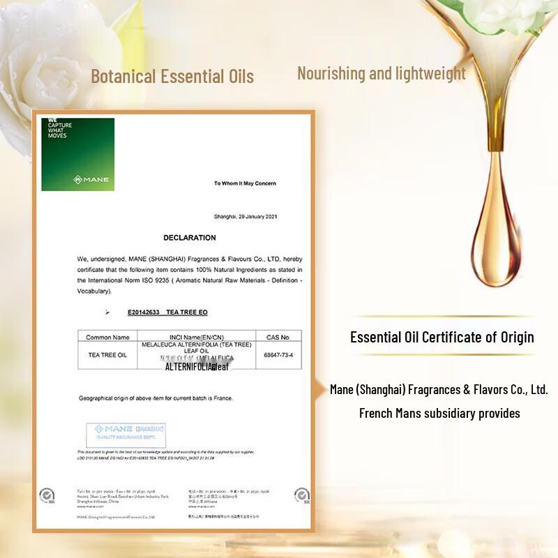 Sleek Green Tea Seed Oil Control Anti-Dandruff Shampoo