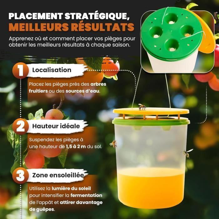 Miceco 2x pièges à guêpes professionnels grande taille - piège à frelon asiatique