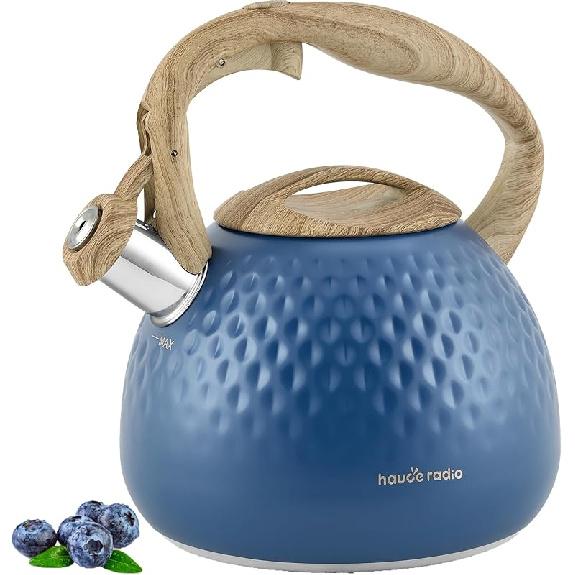 Tea Kettle Stovetop,2.5QT Stainless Steel Whistling Teapot for Stove Top Aesthetic,Portable Water Kettles Camping with Anti-hot Silicone