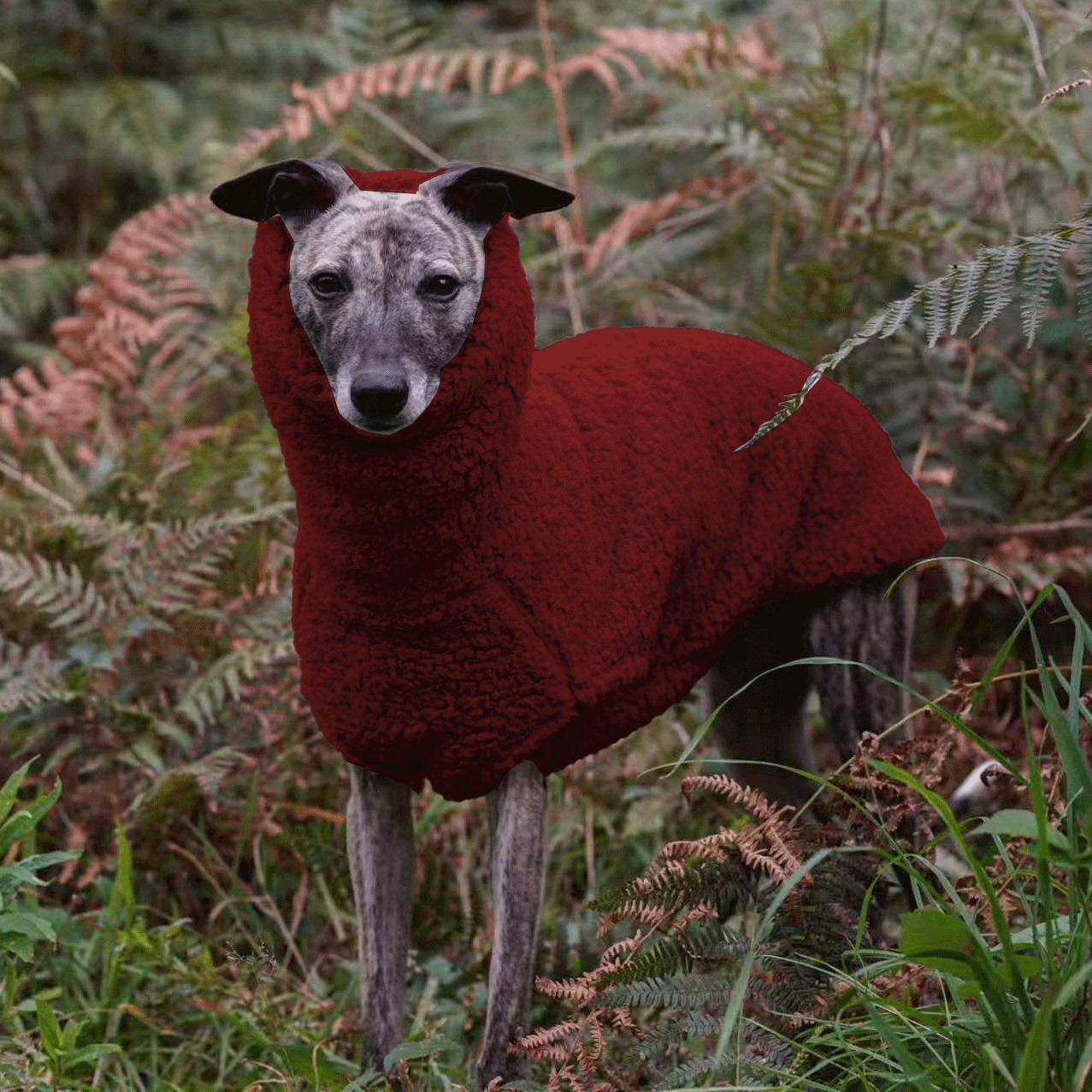 Thick Sherpa Fleece Dog Jumpsuit,Warm Pet Dog Pajamas Rompers For Whippet Italian Greyhound - Sleeveless & High Neck Protect XS красный