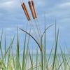 Aged Bronze Garden Stakes 12 Inches Tall Beautiful Outdoor Marker For Landscaping And Edging