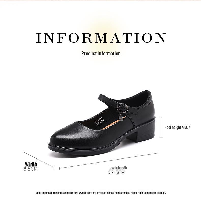 Red Dragonfly Women's Genuine Leather Mary Jane Loafers - Chunky Heel, Shallow Cut, Perfect for Spring and Autumn.