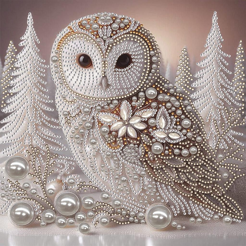 Owl Special Shaped 5D DIY Partial Drill Diamond Painting Kits for Adults DIY Gift Home Decor Diamonds Dots Gem Art Kits 30x30cm