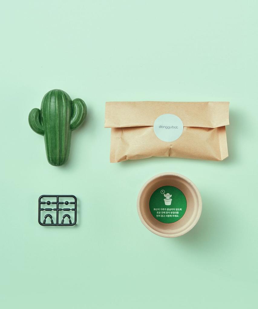 [Special Set] All-in-One Perfume Bar Canola + Cactus Bar Objet Gift Set