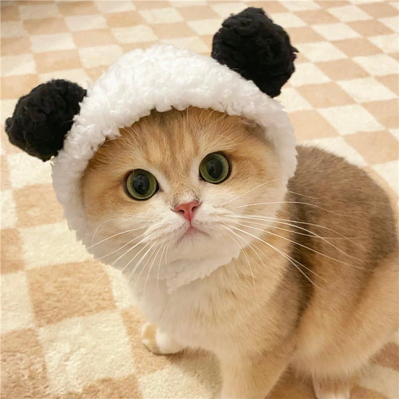 Funny Pet Cat Hat, Lion Mane Costume, Cute Animal Headpiece for Small Dogs & Kittens, Halloween Cosplay Party Accessory