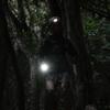 Milestone Handy Light Flashlight with Route Finder Disaster Emergency Supplies MS-J1 - Outdoor, Preparedness, (Silver/FF/Men's)