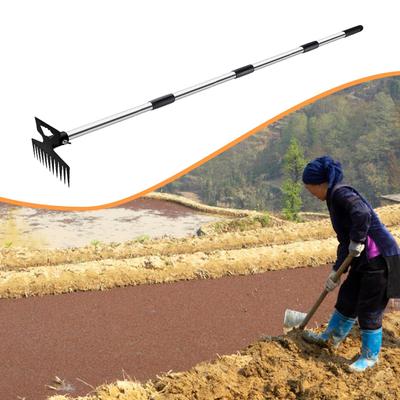 Weed Puller Tool Removal Double Purpose Manual Extendable Long Handle Weeder for Patio