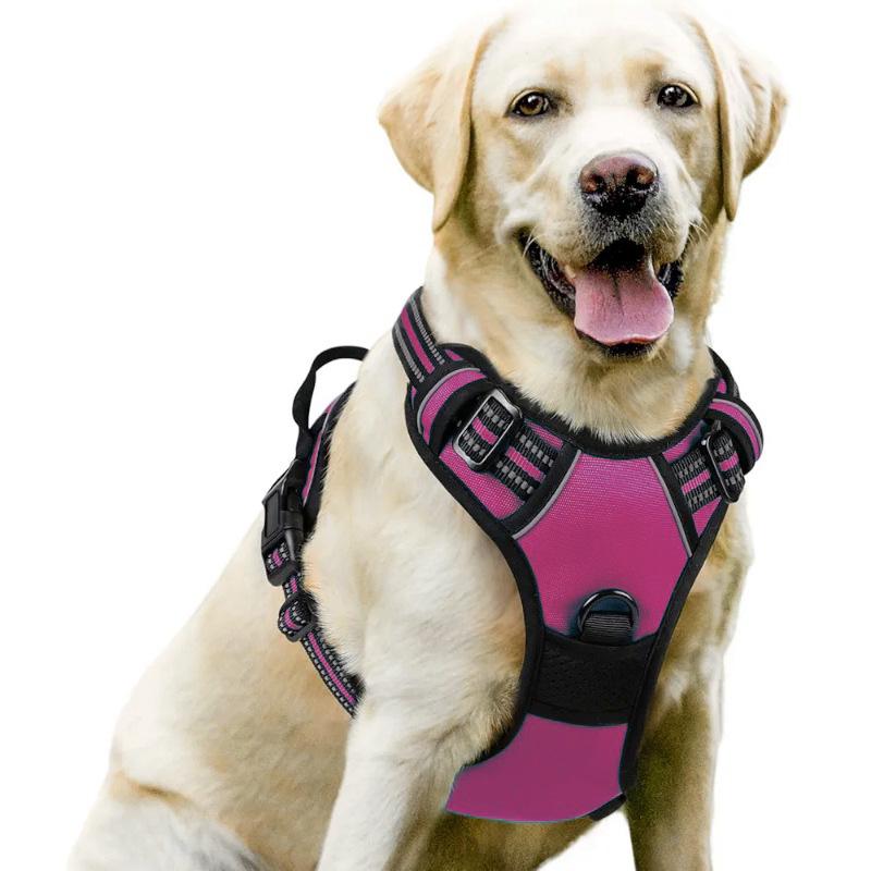 Dog Nylon Chest Harness and Leash for Large Pets