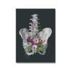 Anatomical Art Breast Heart Pelvic Thoracic Chest Nordic Poster Doctor's Office Decorative Mural