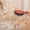 [Masalcoso] Dog/Cat Premium Brush 23cm, From Korea
