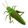 Tipmant RC Grasshopper Remote Control Animal Toy Simulation Electronic Insect Vehicle Kids Birthday Gift