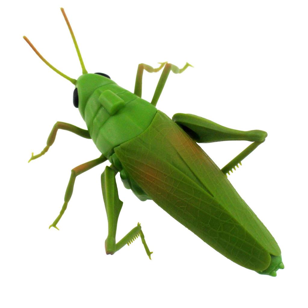 Tipmant RC Grasshopper Remote Control Animal Toy Simulation Electronic Insect Vehicle Kids Birthday Gift