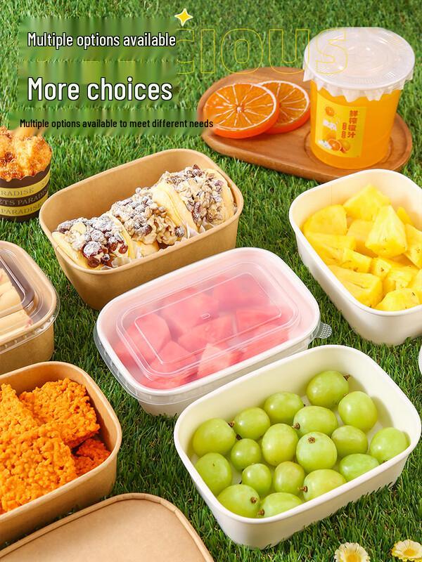 Disposable Bento & Takeaway Boxes with Lids