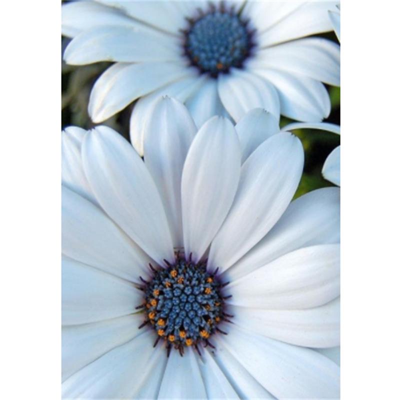 5D DIY Elmas Boyama Kaplan Mavi Gökyüzü Altında Elmas Nakış Çapraz Dikiş Kiti Tam Taklidi Mozaik Ev Dekor