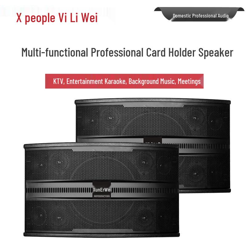 Xun Er Wei Professional Integrated Conference System (CN Version)