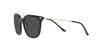 Sunglasses EA4181 Gray Lens 54 [Emporio Armani] Black/Dark