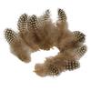 Yousheng 50Pcs Guineahen Feathers Natural Chicken Tail Feathers Bright Colors 4.5-10cm Feathers for Crafts DIY Earrings Dream Catcher Wedding Easter