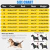 Breathable Mesh Pet Cooling Shirt Sun Protection Dog Ice Cool T-shirt  Outdoor Walking Dog