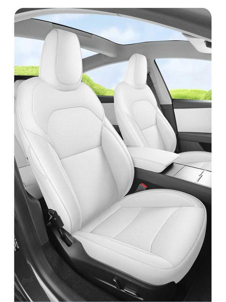 Tesla Model Y Esclusivo: Set di 25 Cuscini per Sedili e Tappetini Quattro Stagioni