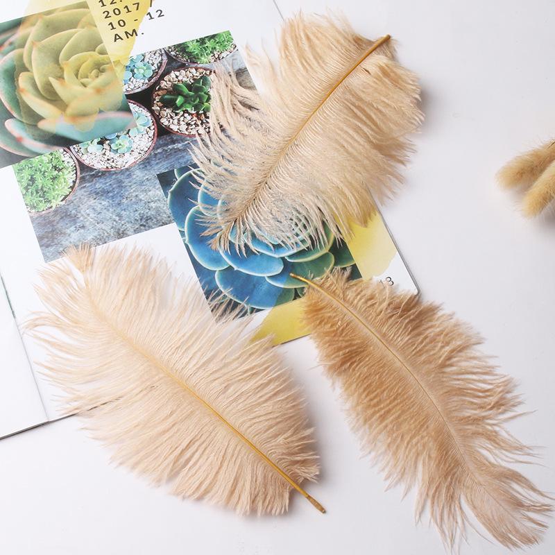 Large 15-20cm Ostrich Feathers for Wedding Arrangements and Stage Props