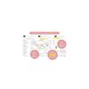 Y-Style Working Mother's Planner 2027, January Start - March End, B6 Size, Family Weekly To-Do List