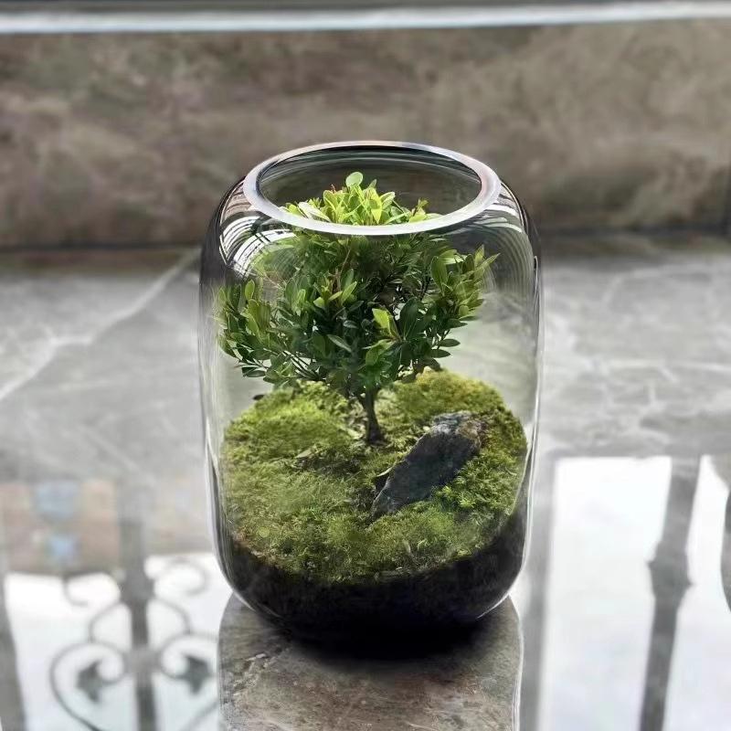 Mikrokrajinná skleněná váza Sukulentní rostlina Terarijní nádoba Květináče pro pěstování sukulentů Domácí dekorace