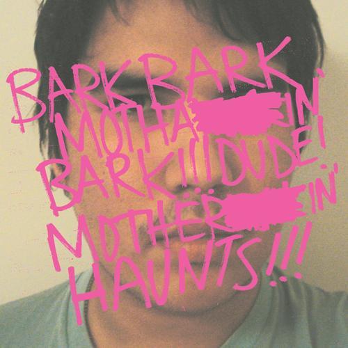 

CD BARK BARK BARK - Haunts RET014 Retard Disco 2007 US Rock Used