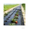 Filme Mulch Biodegradável Preto Agrícola para Vegetais de Estufa, Alta Retenção de Umidade, Controle de Ervas Daninhas, Proteção de Plantas M