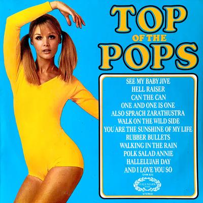 LP Record UNKNOWN ARTIST - Top Of The Pops Vol. 31 SHM825 Hallmark Record 1973 UK Jazz Used