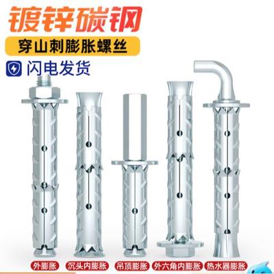 Galvanized Expansion Bolt for Foam and Hollow Brick with Fish Scale Pull Tube