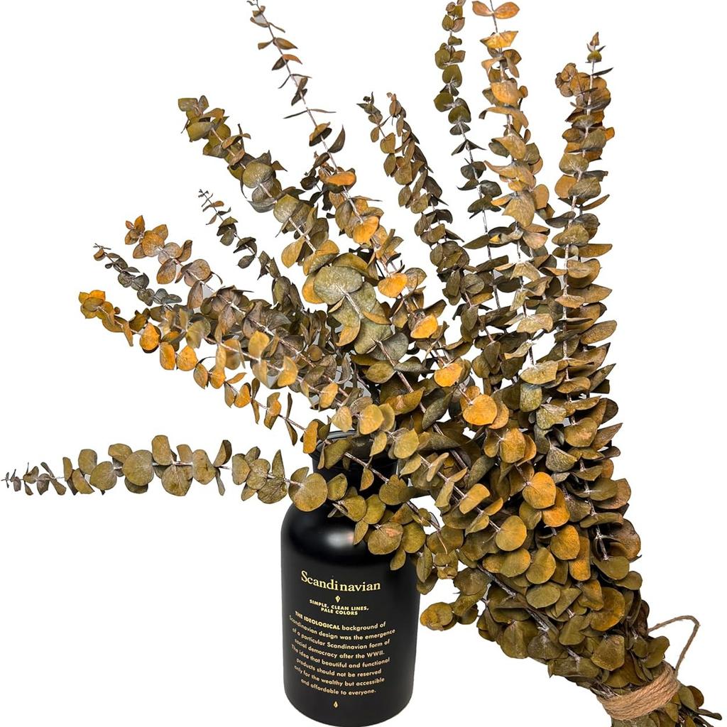 20 Pcs Preserved Dried Eucalyptus Stems, 17" Natural Fresh Eucalyptus Branches,Real Plant for Vase Filler, Dried Flowers Arrangement