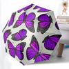 Accesorii – Umbrele