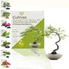 Kit First Hackberry Bonsai – Bonsai Kit To Grow with Bonsai Seeds and Accessories – Original Gift for Gardener