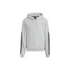 Sweatshirts Men's Gray Hooded Moderate Regular HC9966