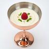 Shatterproof Martini Glass Plated Copper Wine Goblet Stainless Steel Cocktail Glass  Parties