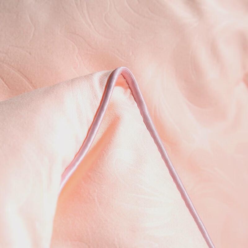 Bejirog Premium Feather Velvet Quilt