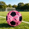 1pc Pink Dinosaur Art Lightweight PVC Training Soccer Ball, Size 5, Suitable for Indoor and Outdoor TrainingGift Y60398