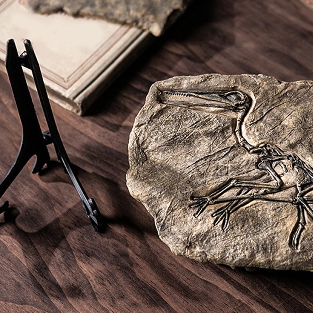 Resin Dinosaur for Fossil Figurines Retro Animal Statue Miniature Interior Livin