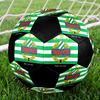 Rapid Vienna Soccer Ball Colorful All Ages Machine Stitched PVC Competition Ready Durable High-Bounce.SIZE5