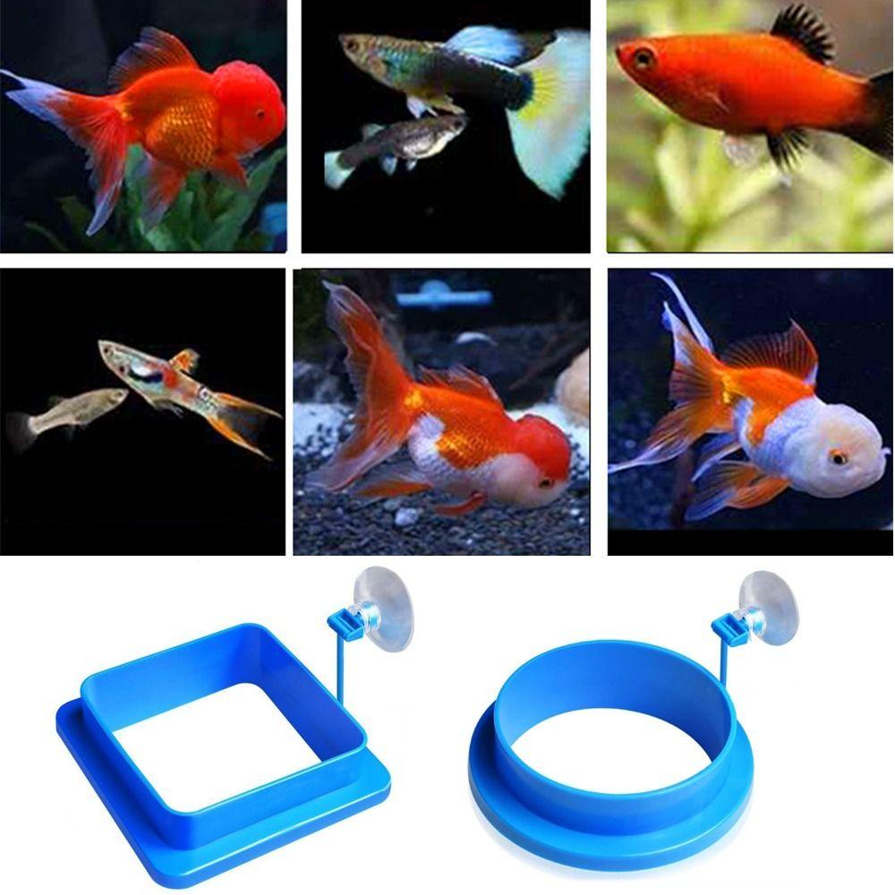 2pcs Buoyancy Design Fish Tank Feeder Suction Cup Floating Food Tray  Feeding Accessory