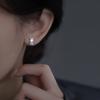 Rabbit Stud Earrings Female Tide Niche Design Earrings Simple Light Luxury Natal Year Earrings